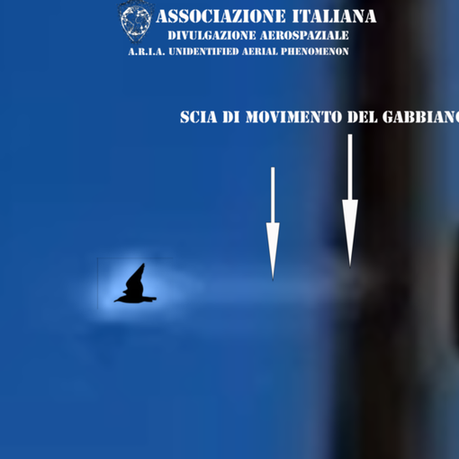 A.R.I.A. smentisce l'avvistamento UFO a Genova: &quot;Era un gabbiano&quot;