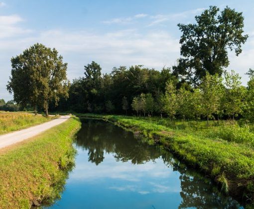 Basso Pavese. Il Consorzio Villoresi rassicura gli agricoltori: nessuna variazione dei contributi