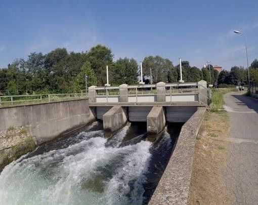 Il Naviglio di Bereguardo in Asciutta