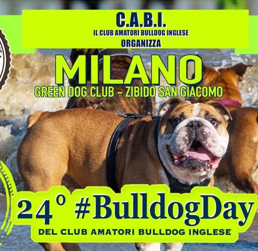 24° #BULLDOGDAY ancora in bilico causa maltempo: intanto diamo le indicazioni e le raccomandazioni in caso di conferma