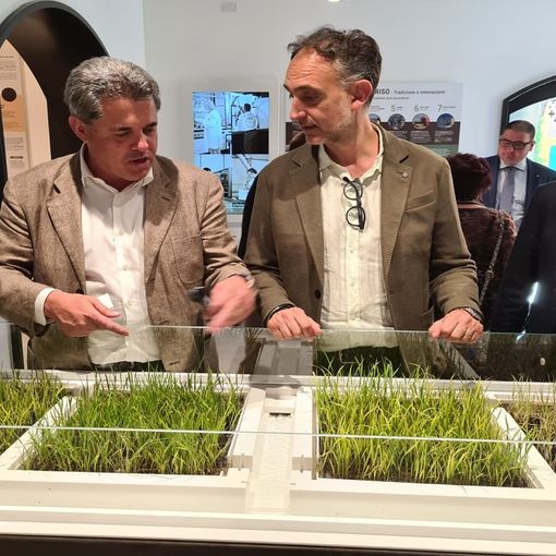 Agricoltura, assessore Beduschi a Castello d'Agogna: Ente Risi centro unico in Europa per ricerca e tutela del prodotto