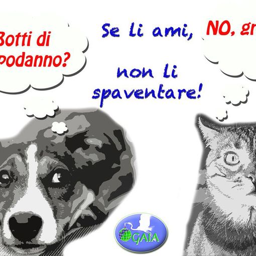 “No ai botti, SI’ ai biscotti”, appello dell’associazione Gaia e decalogo antibotti per cani e gatti