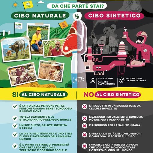 Cibo sintetico: Coldiretti dice stop, i parlamentari pavesi firmano la petizione