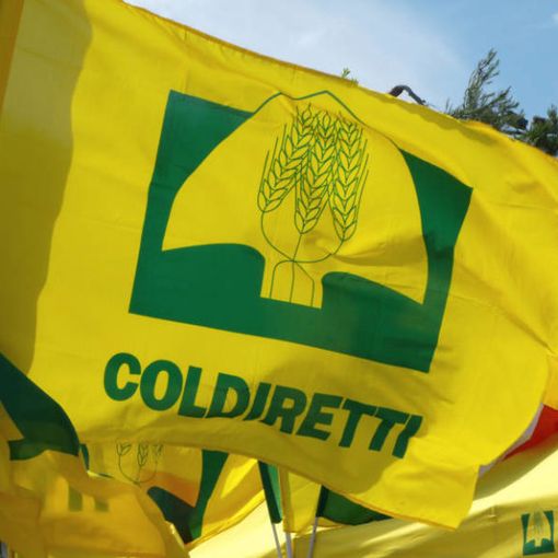 Prezzi: Coldiretti, venerdì 30/9 L’agricoltura scende in piazza