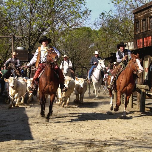 Cowboyland, la nuova stagione riparte dagli stuntmen