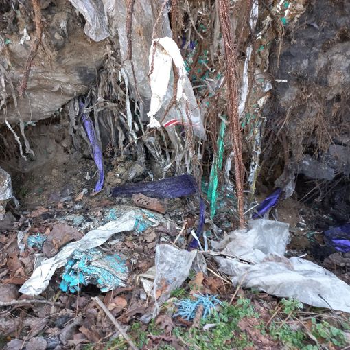 Gambolò: scoperti rifiuti speciali interrati in un'area boschiva di 4.500 metri quadrati