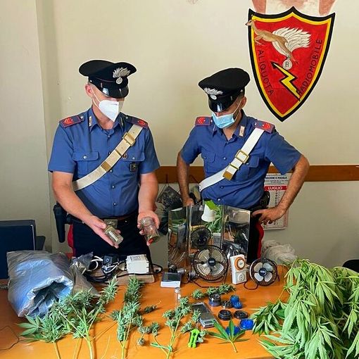 Cava Manara: serra di marijuana artigianale a domicilio, denuciata una coppia