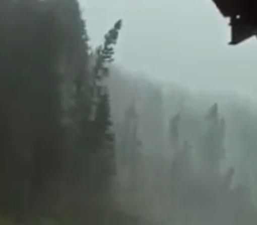 L'ESTATE DEI DOWNBURST - VIDEO. In Cadore a Alto Adige la furia del vento piega e spezza gli alberi come grissini