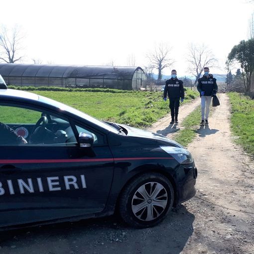 Vigevano: &quot;market&quot; della droga in azienda agricola, arrestato un 64enne