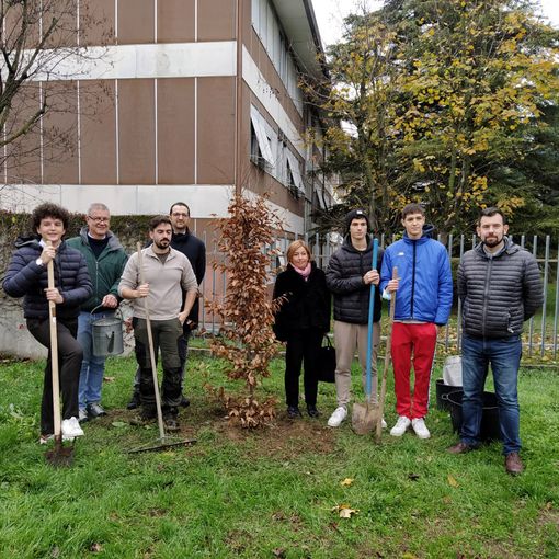 Broni: Giornata dell’Albero, messa a dimora una nuova pianta davanti al liceo
