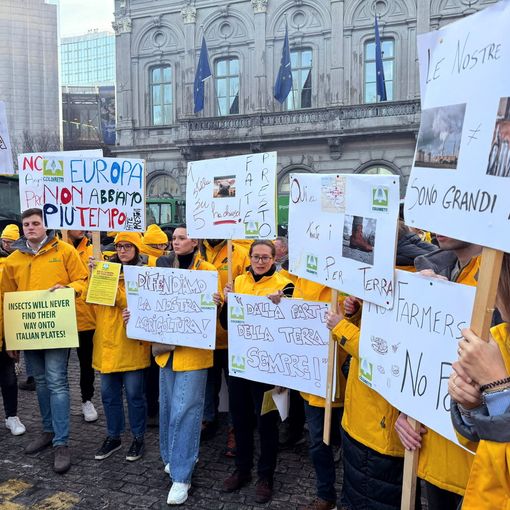Vertice Ue: Coldiretti a Bruxelles per salvare filiera da 600 miliardi
