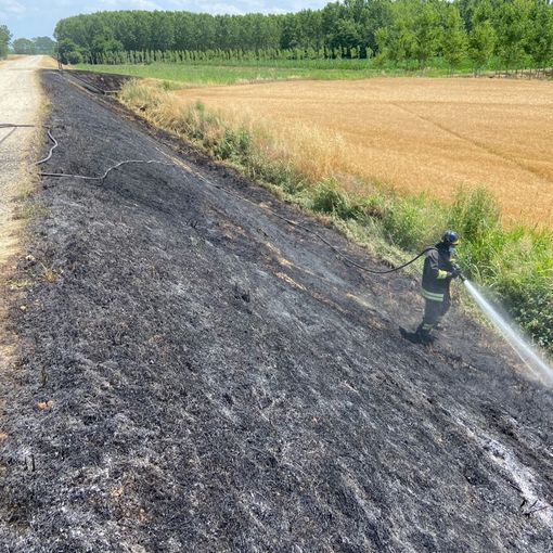 Suardi: sterpaglie in fiamme sull'argine, intervengono i Vigili del fuoco
