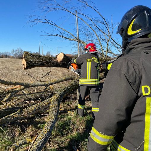 Mortara: cade un albero sulla linea elettrica in via Maestra, intervengono i Vigili del fuoco