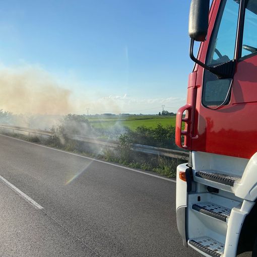 Sartirana: incendio di sterpaglie sulla provinciale 194, Vigili del fuoco in azione