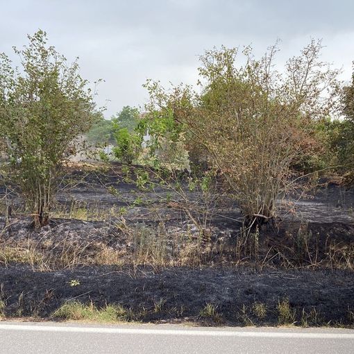 Pieve del Cairo: incendio di sterpaglie in cascina, Vigili del fuoco in azione
