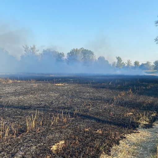 Pieve del Cairo: rogo di sterpaglie nell'area golenale del Po