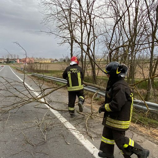 I Vigili del fuoco in azione a causa del maltempo