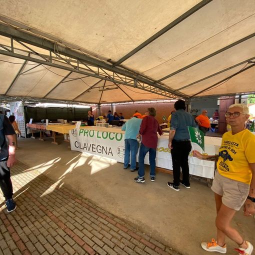 Partita la tre giorni di &quot;Benvenuti in Lomellina&quot;, eventi per scoprire i tesori della terra del riso