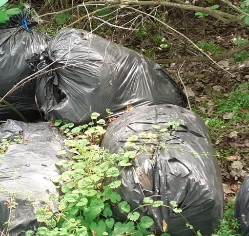 Sannazzaro: abbandono di rifiuti e taglio di alberi nell'area campestre di via Gorana. Gli ecologisti lanciano l'allarme