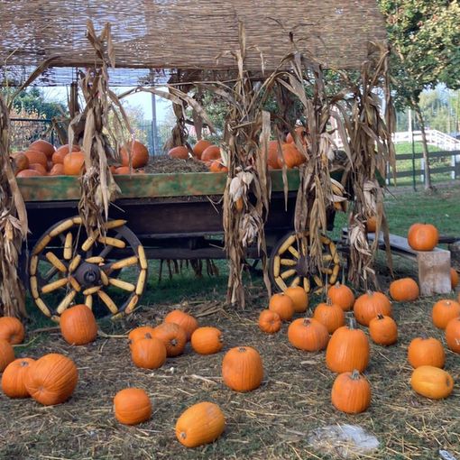 Al Villaggio delle Zucche la Magia di Halloween