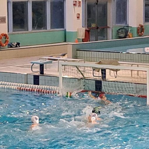Pallanuoto, tris di vittorie per le squadre dell'H2Sport Vigevano