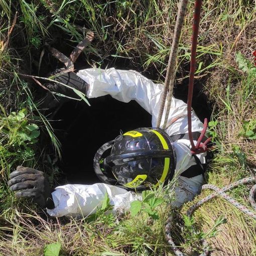 Zinasco: pecora cade in un pozzo profondo, salvata dai Vigili del fuoco