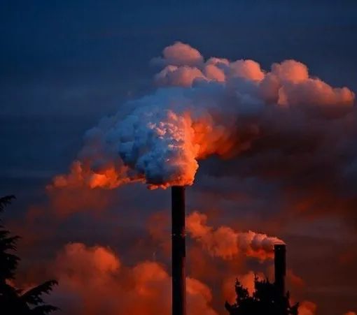 WWF Lodigiano &amp; Pavese contro il quadruplicamento di un inceneritore in Lomellina