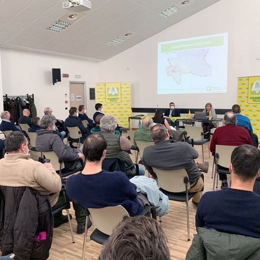 Riso, summit di Coldiretti Pavia  tra nuove minacce e boom dei costi