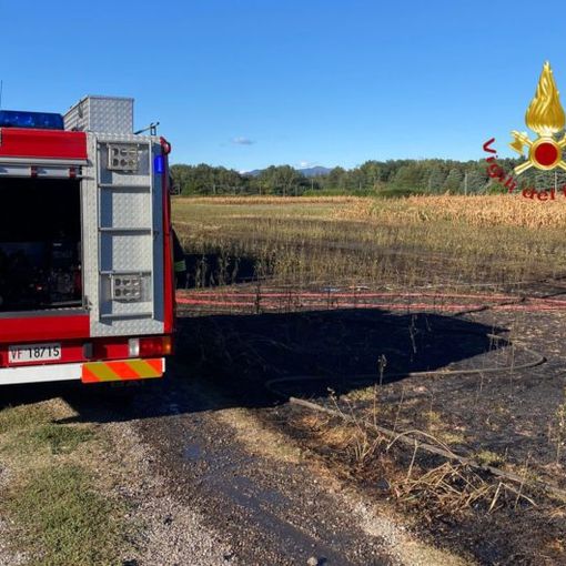 In fiamme un campo di grano lungo la A9: il fumo invade l'autostrada e rallenta il traffico