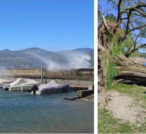 VIDEO e FOTO. Le folate di vento sferzano il lago Maggiore, albero sradicato ad Angera