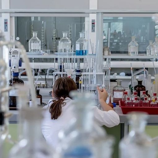 Vaiolo delle scimmie. Le rassicurazioni della Regione: «Attualmente nessun caso in Lombardia»