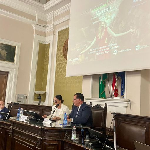 Turismo: Mazzali “flussi nel Pavese + 10% nel 2023, oggi 71% delle stanze prenotate per l’estate”