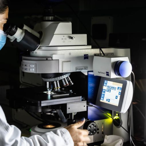 Fondazione Mondino cerca volontari per lo studio su “Parkinson e Microbioma”