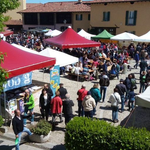 Domenica 14 aprile, gita a Morimondo incontro alla primavera per immergersi nella storia e nella bellezza a pochi chilometri da casa