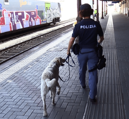 Stazioni Sicure: aderisce anche il comune di Pavia