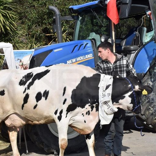 Sanremo: i trattori arriveranno venerdì e resteranno anche sabato, tra Valle Armea e il centro