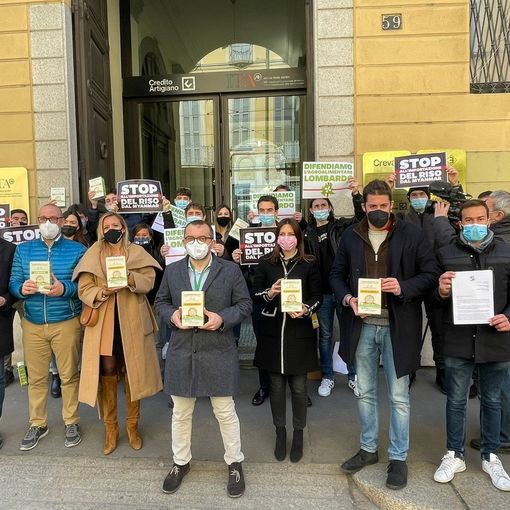 Lega: “no al nutriscore, sì ai dazi sul riso birmano