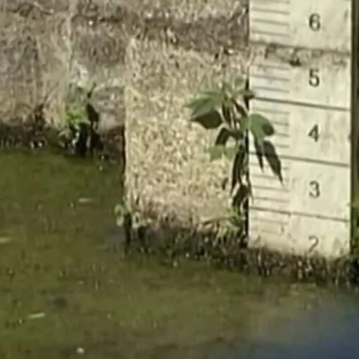 Mondo agricolo a confronto nel Basso Pavese ma la stavolta la siccità non è un problema…