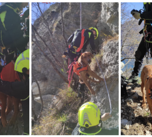 Due cani bloccati sul costone della montagna. Li salva l'elicottero dei vigili del fuoco di Malpensa