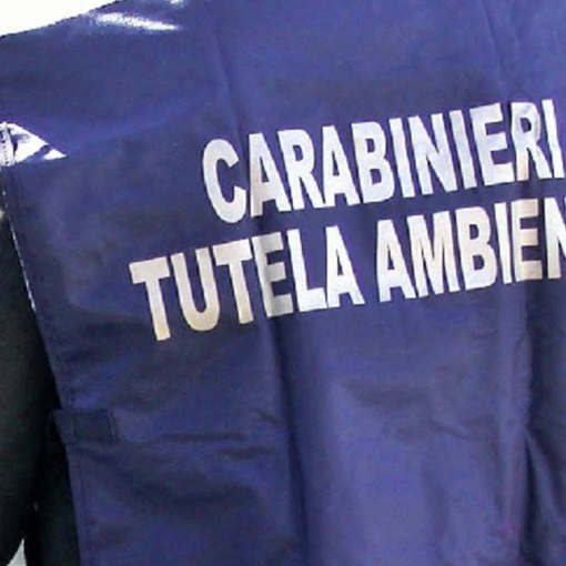 Traffico illecito di rifiuti, coinvolto anche l'ex patron del Novara Calcio Maurizio Rullo