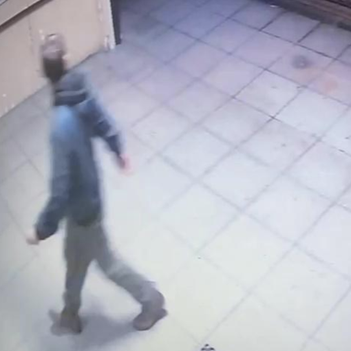 Novara: tratto in arresto il presunto autore di numerosi furti nelle scuole