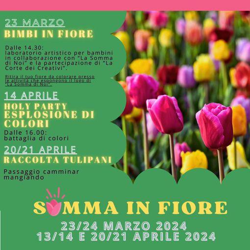 Un campo di tulipani per una primavera indimenticabile: arriva Somma Lombardo in fiore!