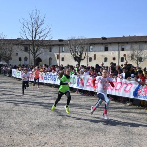 FOTOGALLERY - Corsa campestre: ennesimo trionfo per il Trofeo Pensa, al traguardo 738 alunni delle scuole elementari e primarie