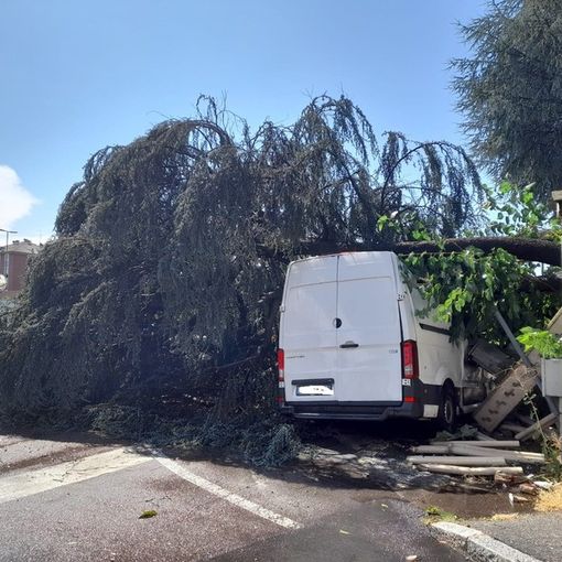 Tempesta su Gallarate: sottopassi allagati e alberi a terra