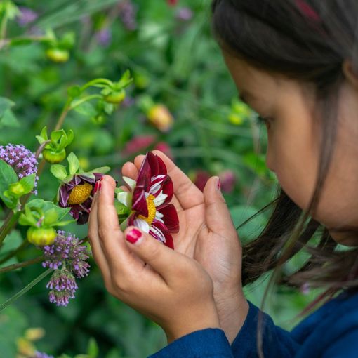 Da Viridea tornano i laboratori di natura per bambini