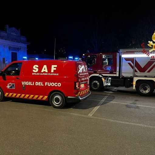Attaccato da due cinghiali, scappa e si rifugia su un albero: recuperato dai vigili del fuoco