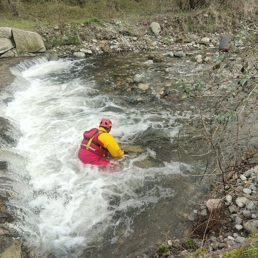 FOTO. L'argine cede e rischia di precipitare nel canale: disperso il cane che era con lui