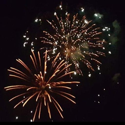 Capodanno Cinese: il 22 gennaio inizia l’anno del Coniglio