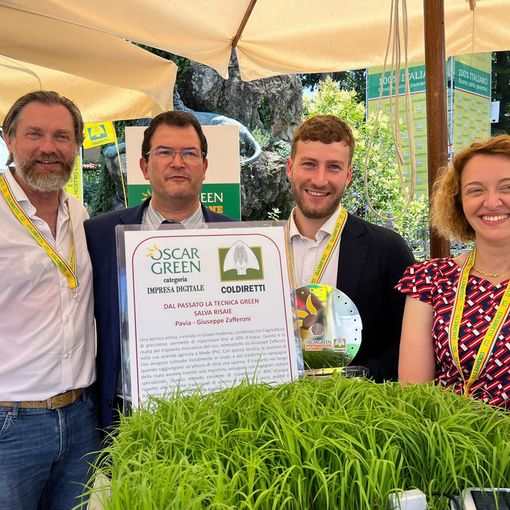 Lavoro, agli Oscar Coldiretti premiato il medese Zafferoni: dal passato la tecnica green che salva le risaie e risparmia acqua