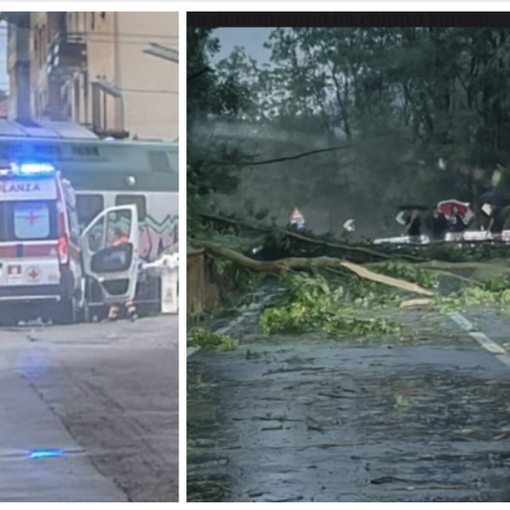 L'auto distrutta dal crollo di un albero davanti all'Esselunga di viale Borri a Varese. Sotto nella prima foto della gallery: a sinistra le lamiere cadute sulla ferrovia in via Bainsizza (foto Michael Balzano da NaturalMeteo), a destra alberi caduti in strada in Valganna (foto di Valeria Brugnoni da Facebook). Sempre in gallery i danni del maltempo in diverse zone di Varese e della provincia
